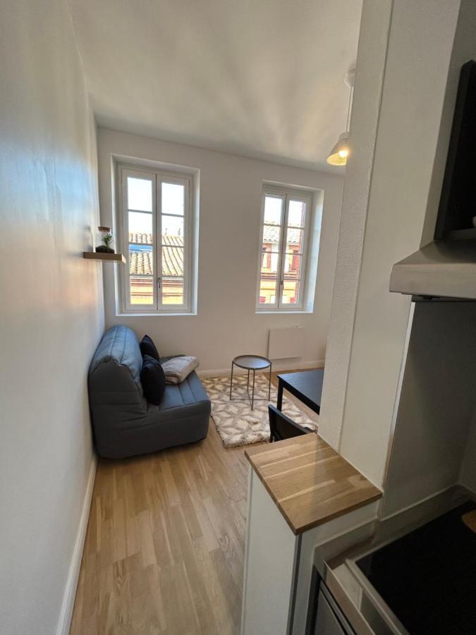 Le Cygne Blanc Apartment ตูลูส ภายนอก รูปภาพ